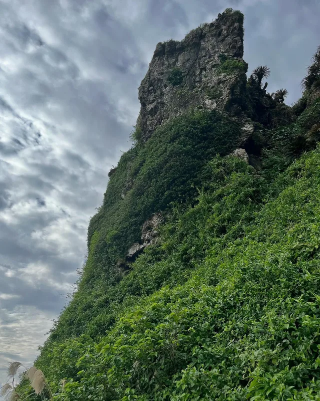 #goodmorning #okinawa🌺