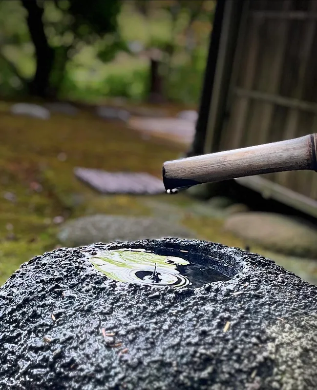Art of the Japanese garden #japanbeauty #japangarden #japanculture #japanstyle #japanart #japantrip #japan🇯🇵
