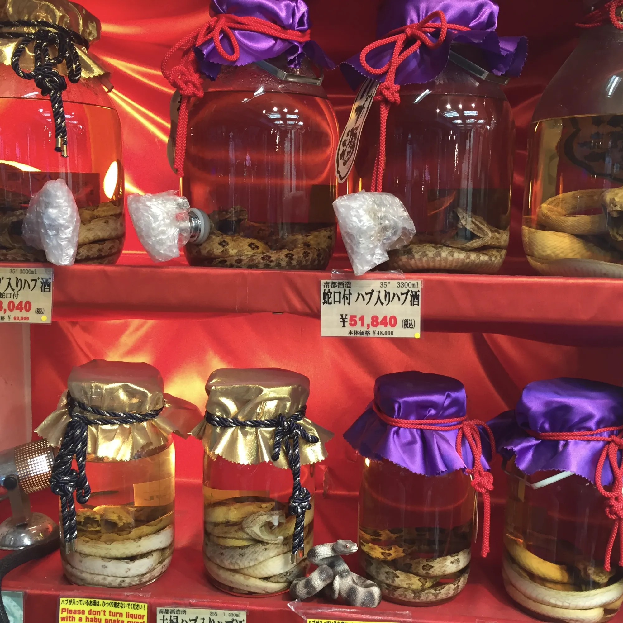 Ochutnávky: lokální Nanto pivovar, hadí saké, awamori, okinawský rum